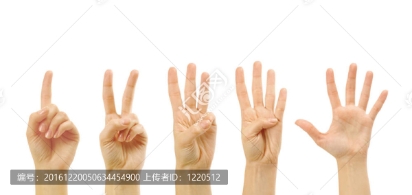 數(shù)數(shù)女人的手（1到5）