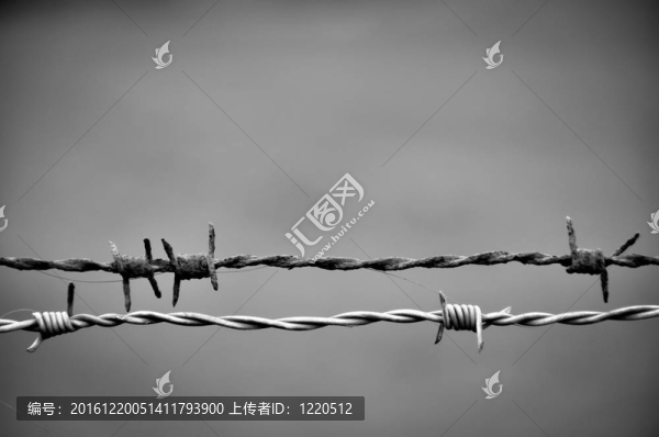 鐵絲網(wǎng)