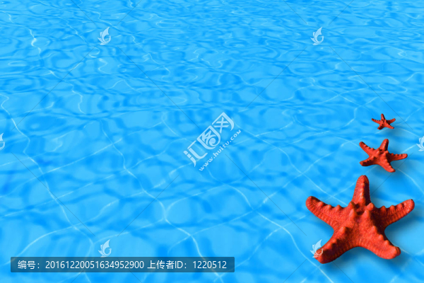 水背景與紅海星