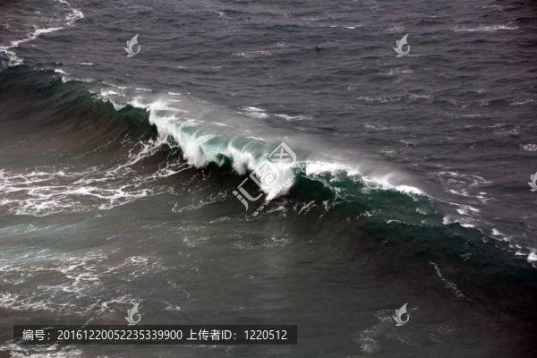 海岸波浪力