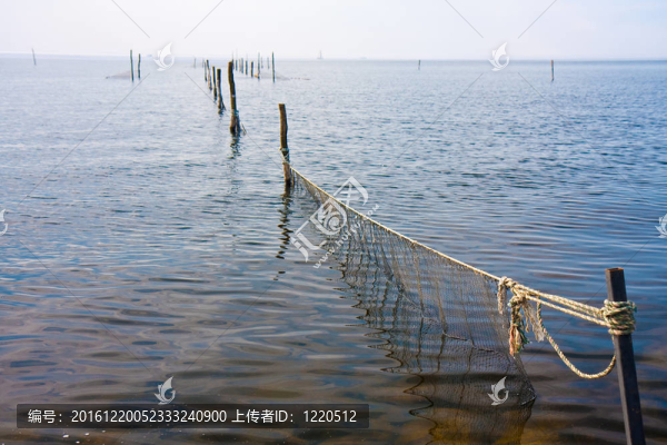 在海中捕魚網(wǎng)