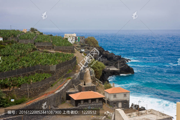 拉帕爾馬沿岸；加那利群島