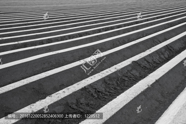 荷蘭農(nóng)田等待春天