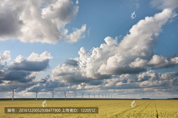 在傍晚的陽光在荷蘭農(nóng)田Cloudscape