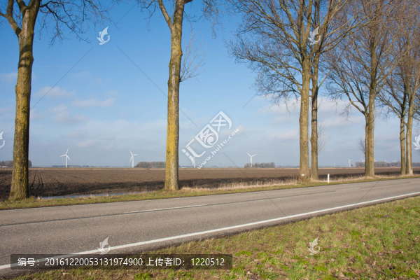 隨著風(fēng)力發(fā)電機(jī)的荷蘭鄉(xiāng)村景觀