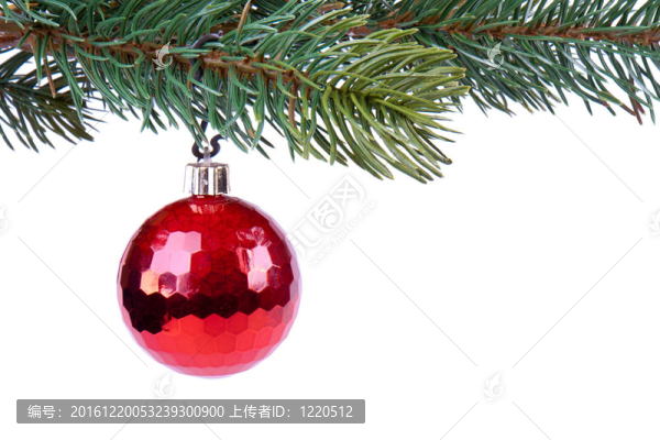 綠云杉樹(shù)枝上的圣誕球