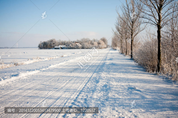 在冬天，白雪覆蓋的荷蘭農田