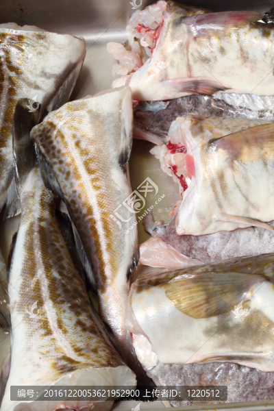 鱈魚魚魚片