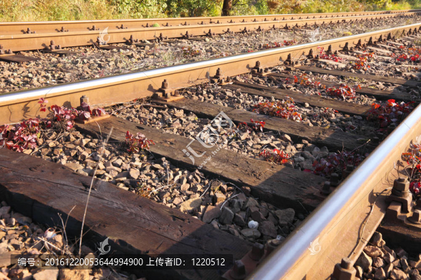 鐵路軌道
