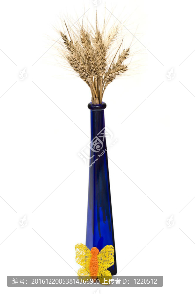一束小麥穗，藍(lán)色花瓶，一只黃色蝴蝶