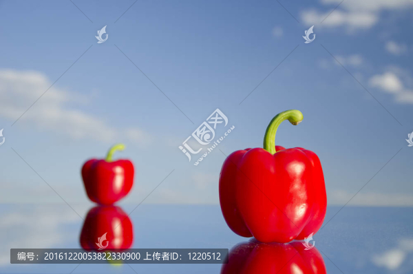 辣椒站在藍色的天空背景鏡子。