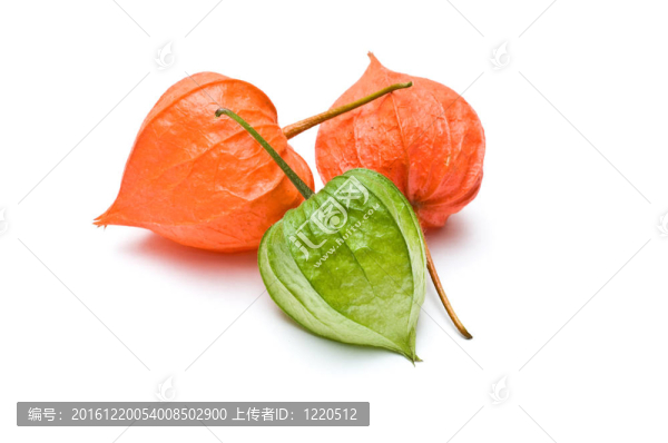 提高三酸漿的觀點(diǎn)