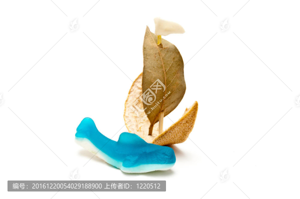 船上的食物和粘性的鯨魚；景觀