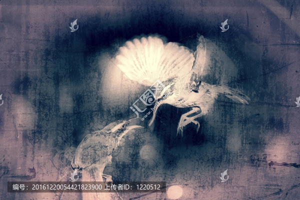 Mother,Pomatorhinus,ruficollis飼料