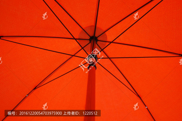 紅傘下