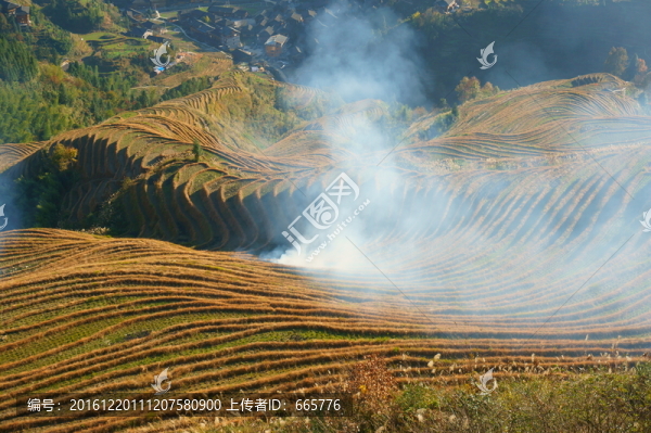 梯田