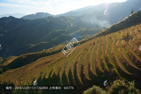梯田