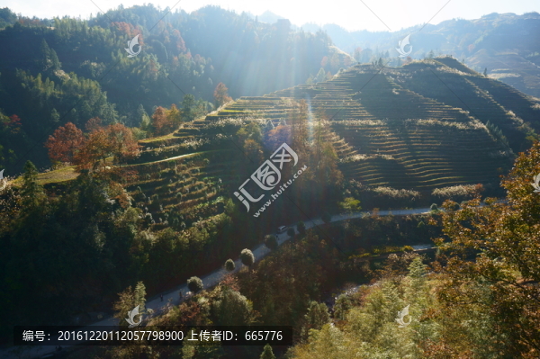 梯田