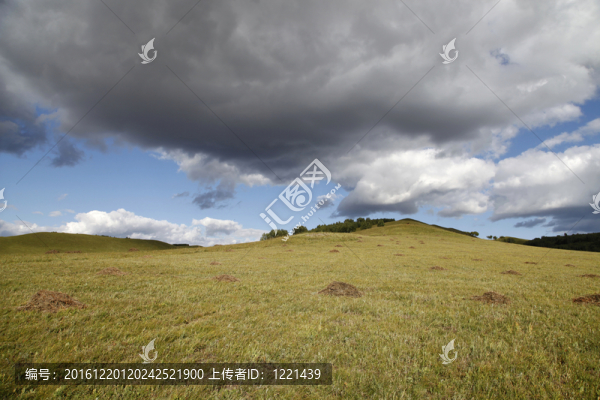草原風(fēng)光