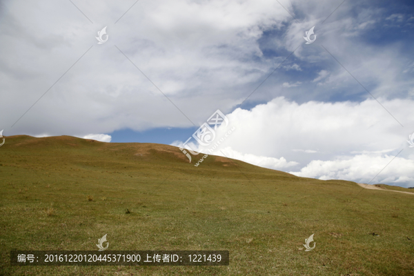 草原風光