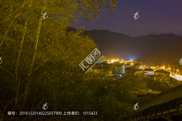 夜景竹林