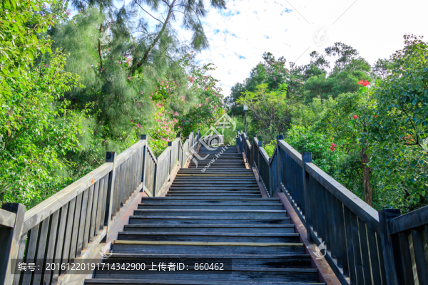 公園木走廊