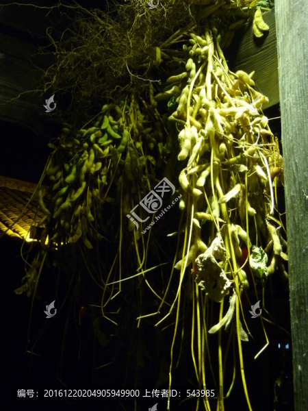 大豆裝飾