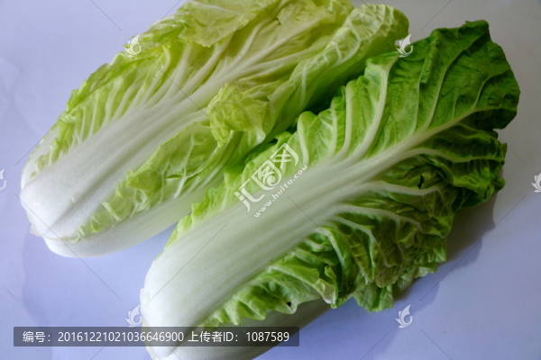 黃白菜