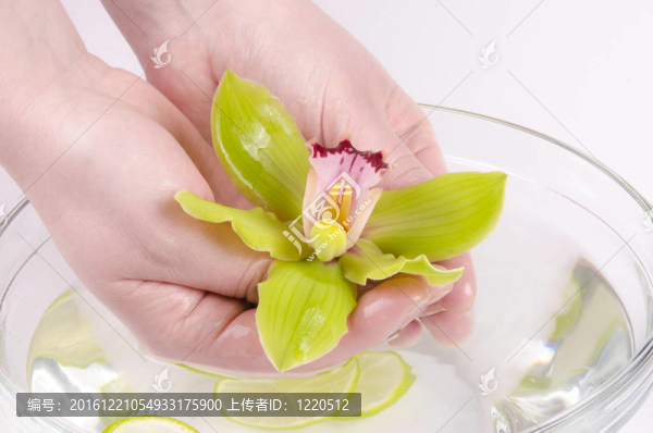 健康的手