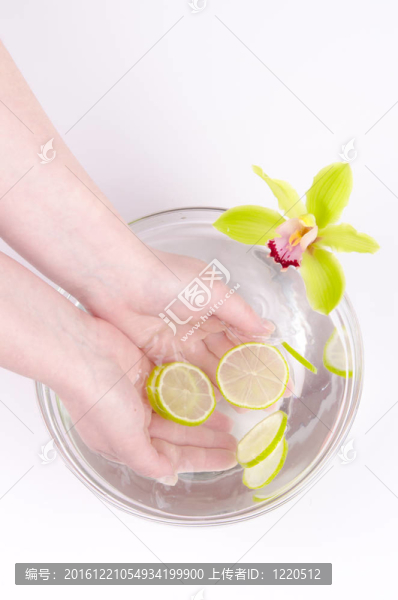 健康的手