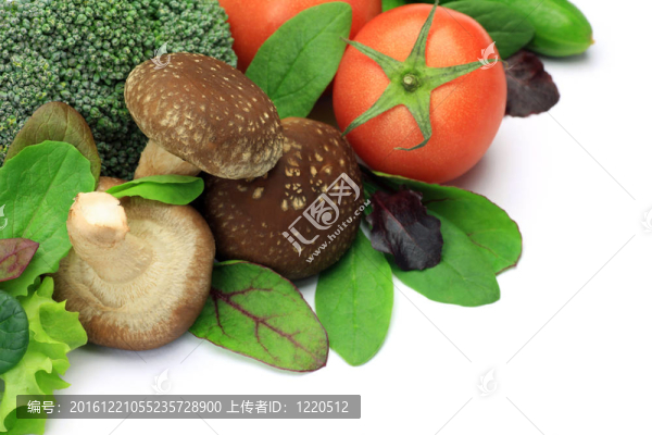 蔬菜