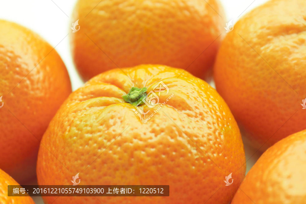 Tangerine夜店