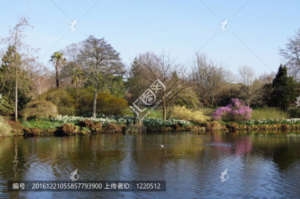 一個(gè)春天的湖泊