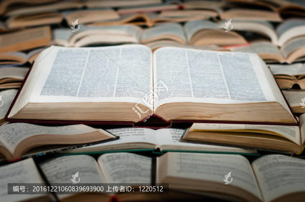 大書上的大書
