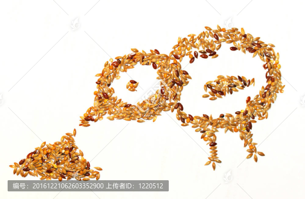 白色背景下種子的鳥食