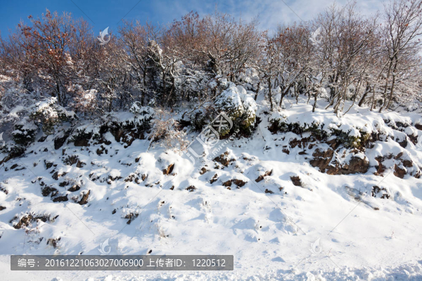 白雪皚皚的山坡上