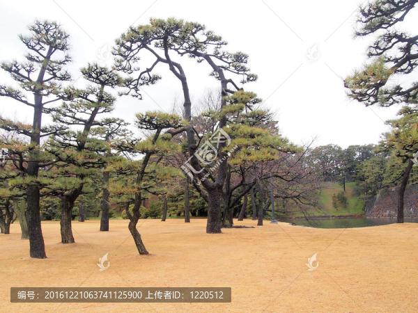 從故宮外花園看東京天際線