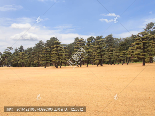 從故宮外花園看東京天際線