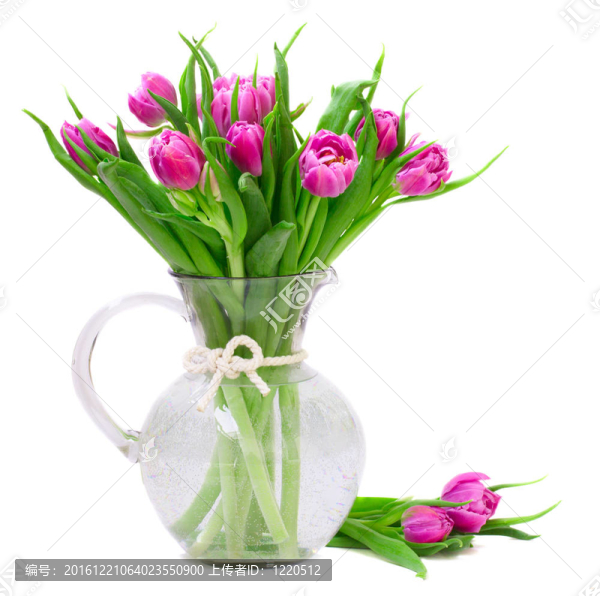 紫色郁金香花束