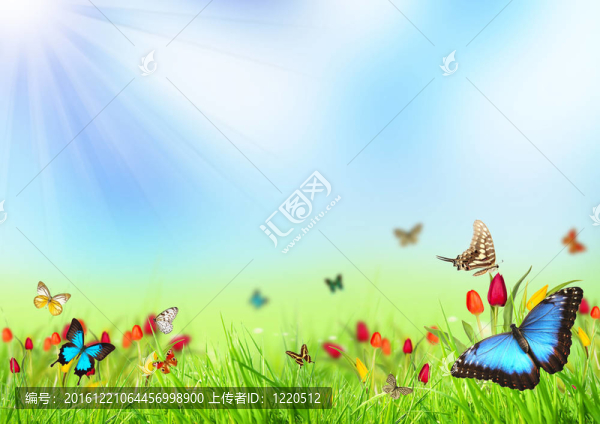 春天的背景