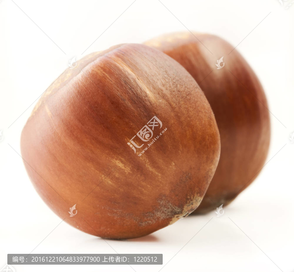 榛子