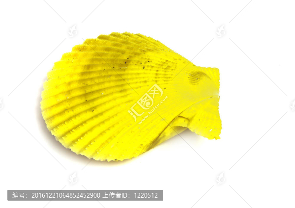 櫛孔扇貝的療養(yǎng)院