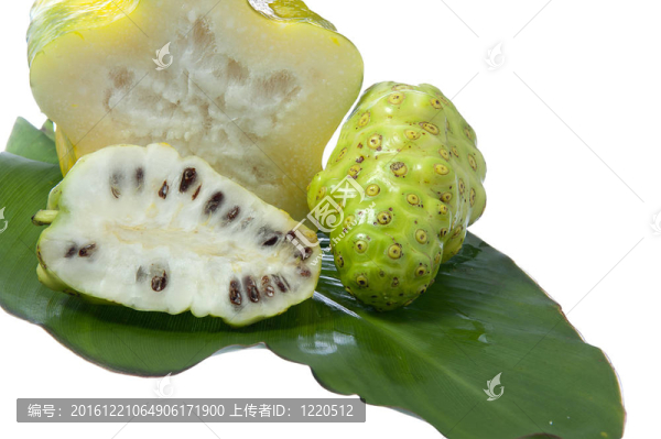 諾麗果