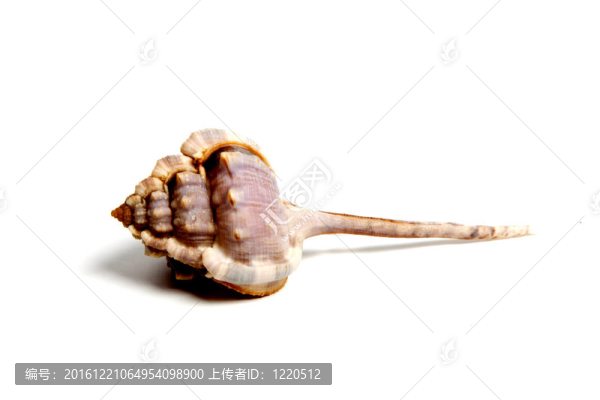 vicdani吸器