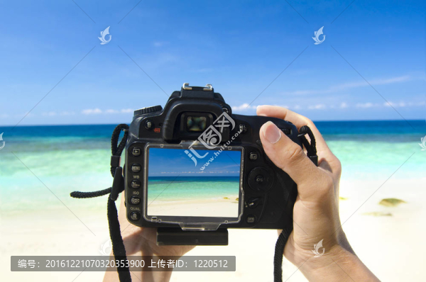 旅游控股中的島上