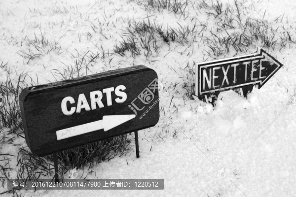 在冰雪覆蓋的高爾夫球場上的馬車和下一個開球標志
