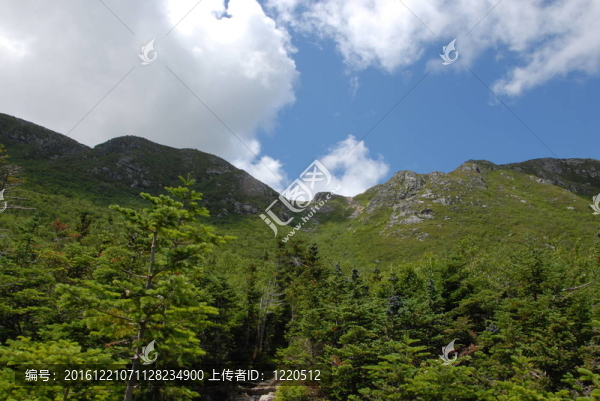 山頂附近