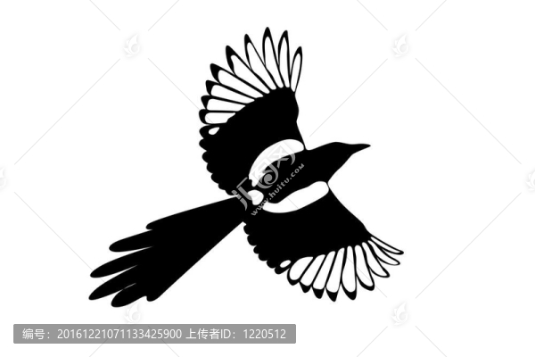 烏鴉鳥