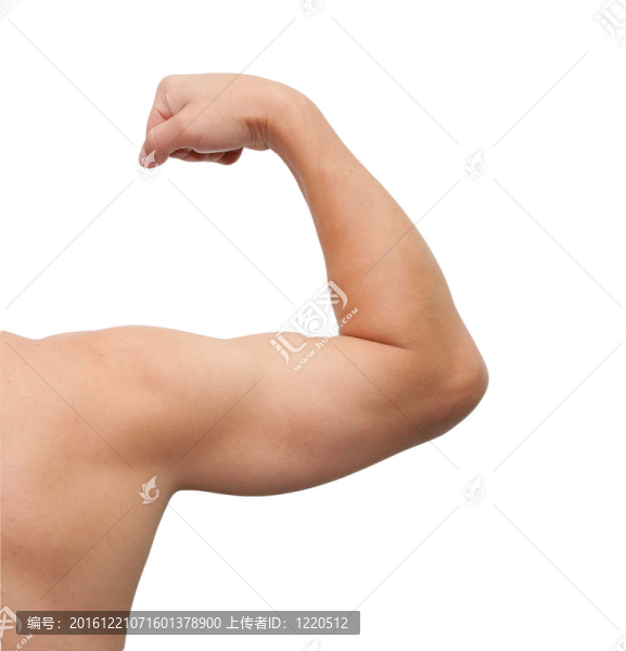 白色背景下的雄性手臂。