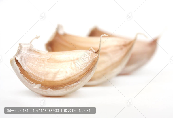 白底大蒜。關(guān)閉